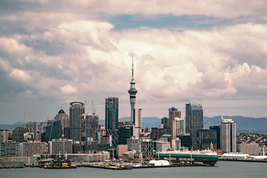 AI leadership is a second job at 26% of New Zealand firms